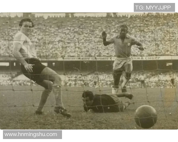 维纳斯足球明星的传奇故事与他们的辉煌成就揭秘