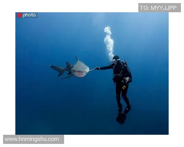 潜水足球明星排名榜揭晓谁是水下足球的绝对王者与传奇球员