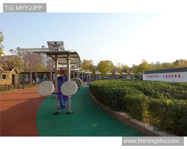 东营健身器材市场分析与发展趋势探讨助力健康生活新选择